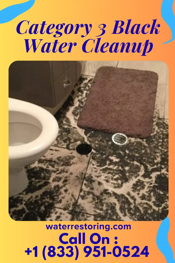 Category 3 Black Water Cleanup in Birch Run, MI