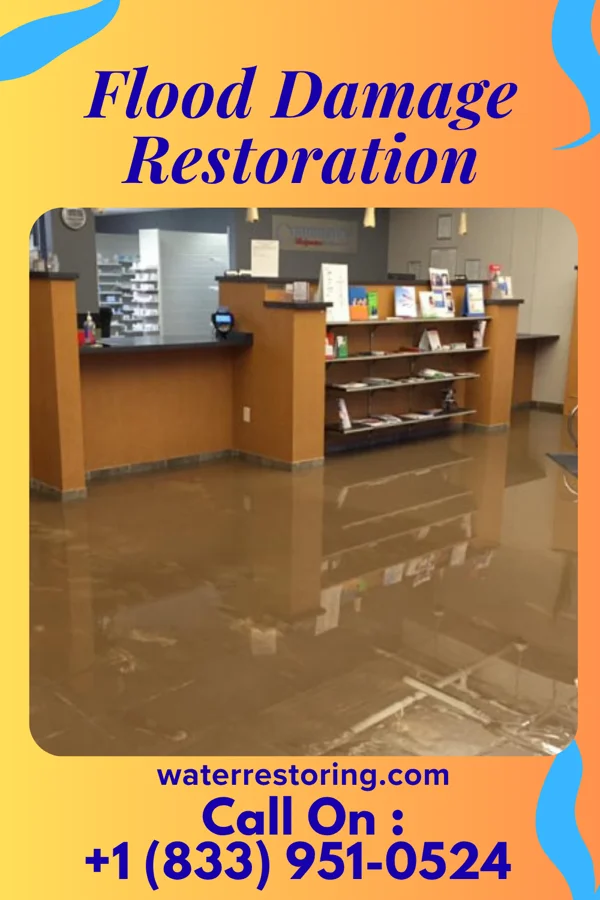 Flood Damage Restoration in Birch Run, MI