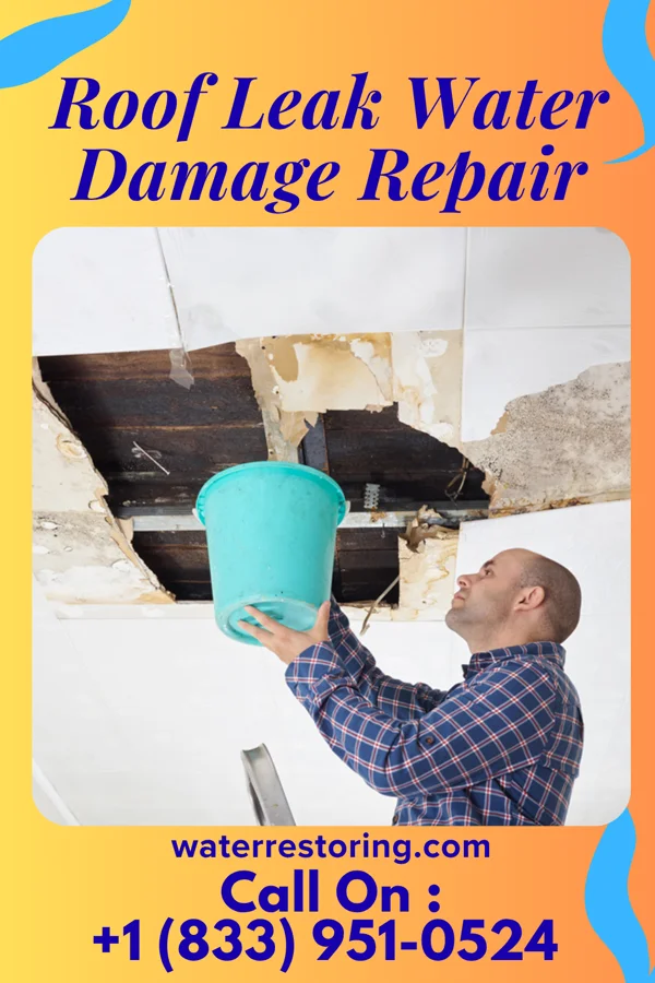 Roof Leak Water Damage Repair in Birch Run, MI
