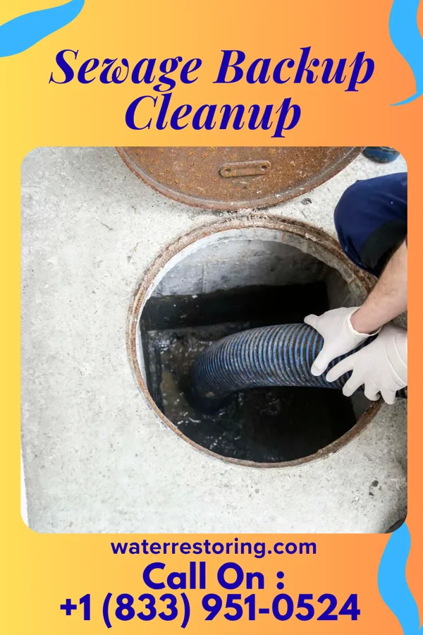 Sewage Backup Cleanup in Birch Run, MI